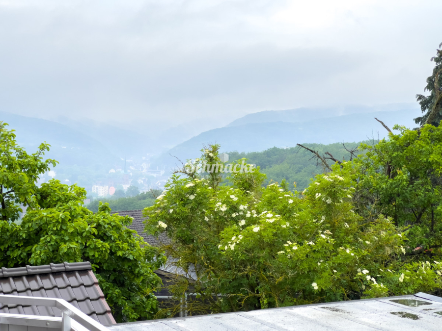 Aussicht Balkon (2) - Ruhige helle Dachgeschosswohnung mit traumhaftem Fernblick, großem Balkon, Küche und Garage